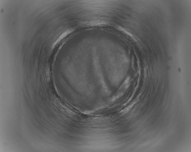 X0000074021306200609111639