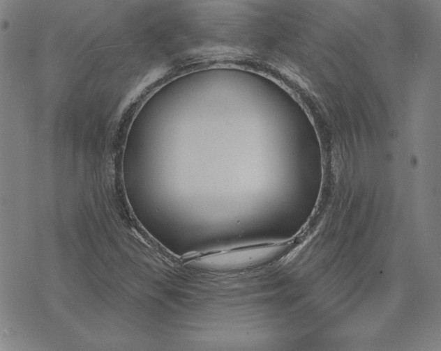X0000074021309200609111639