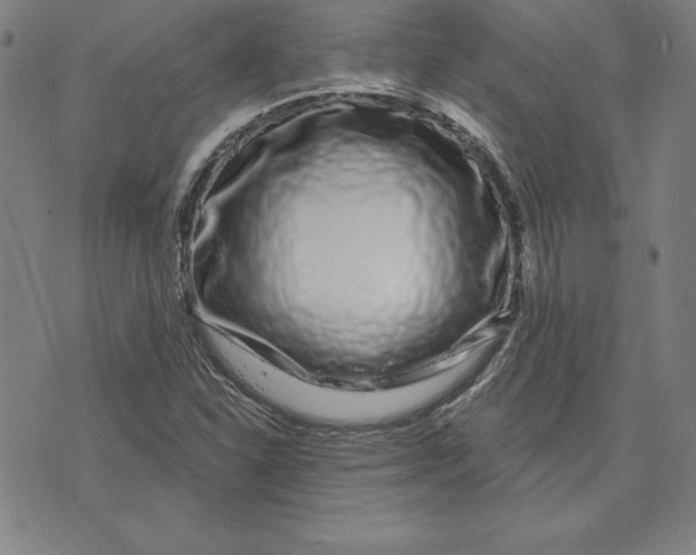 X0000074021310200609111639