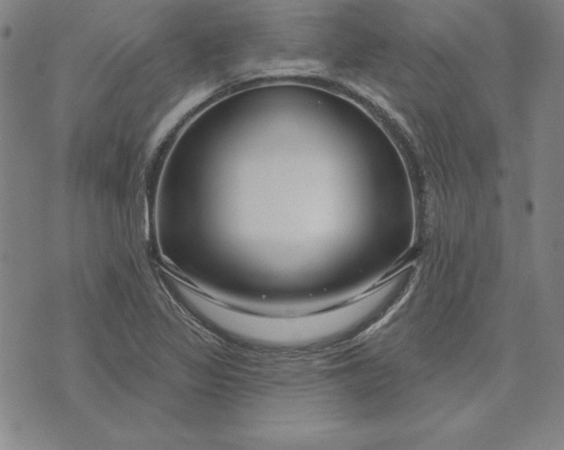 X0000074021317200609111639