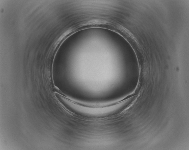 X0000074021321200609111639