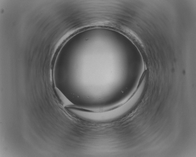 X0000074021324200609111639