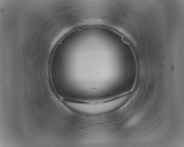X0000074021325200609111639