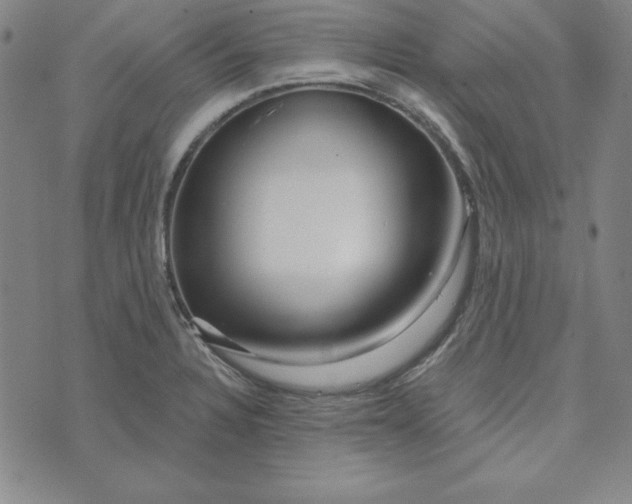 X0000074021328200609111639