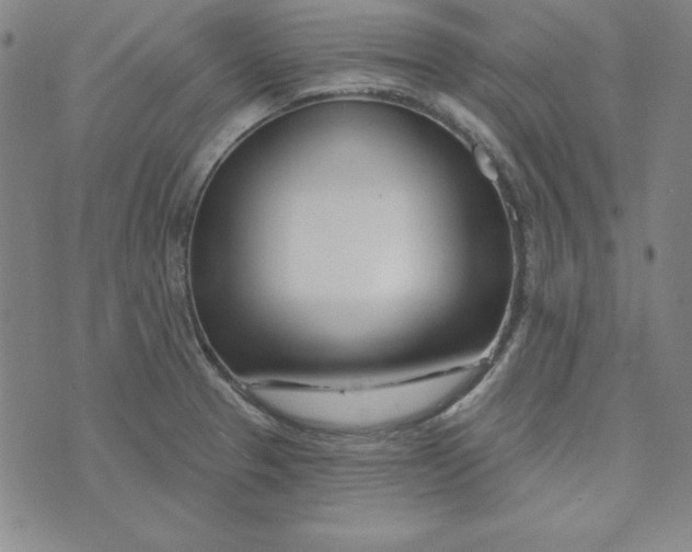 X0000074021329200609111639