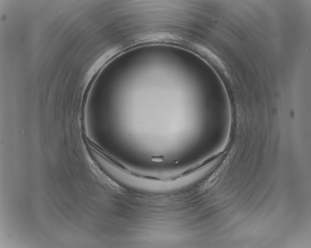 X0000074021330200609111639