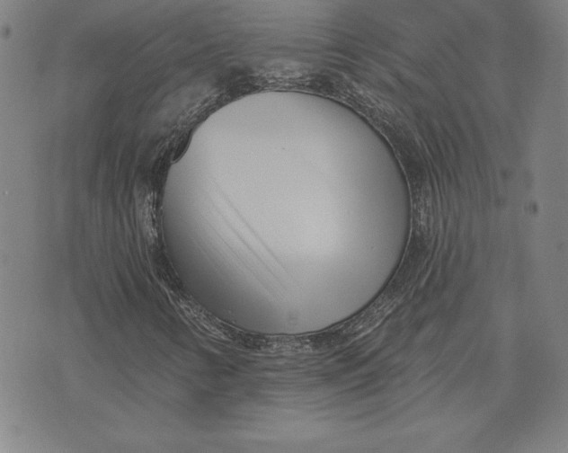 X0000074021346200609111638