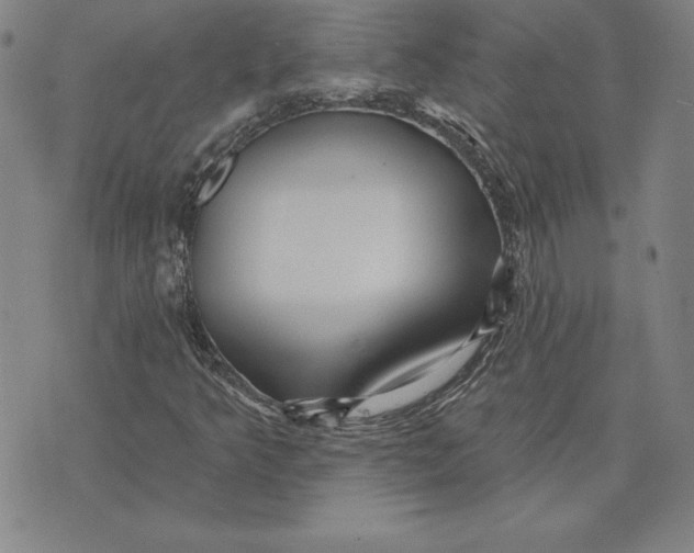 X0000074021349200609111638