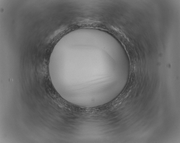 X0000074021350200609111638