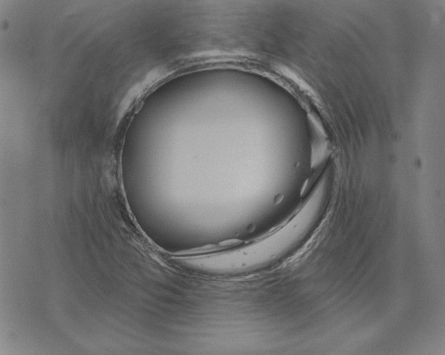 X0000074021357200609111638