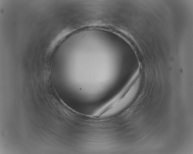 X0000074021359200609111638
