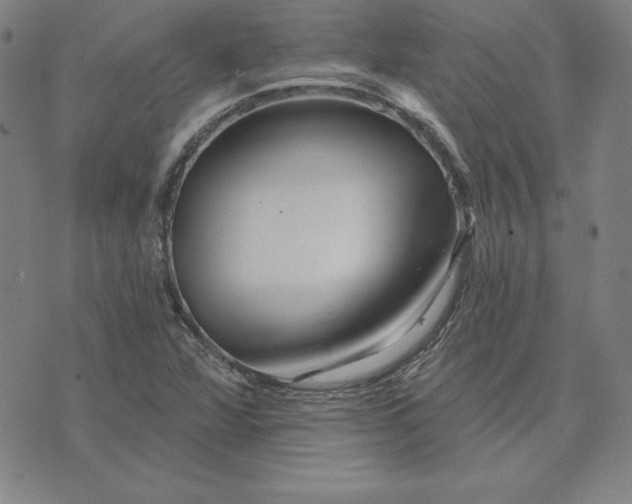 X0000074021360200609111638