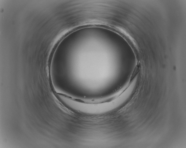 X0000074021372200609111638