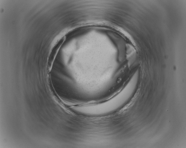 X0000074021373200609111638