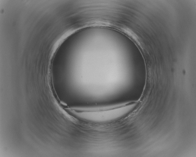 X0000074021379200609111638