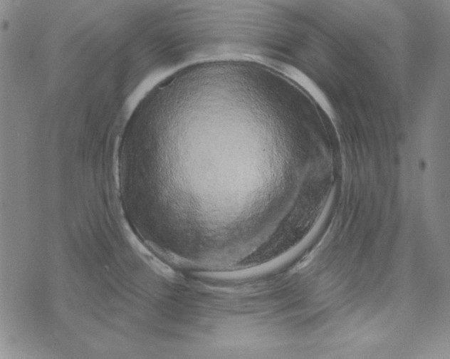 X0000074021388200609111638