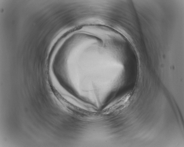 X0000074021392200609111638