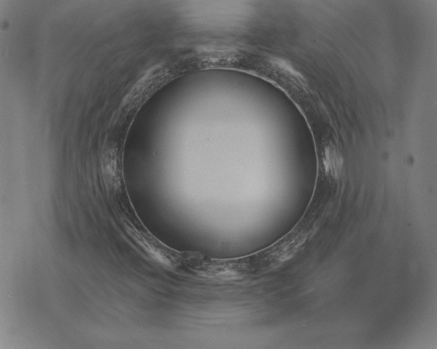 X0000074021396200609111637