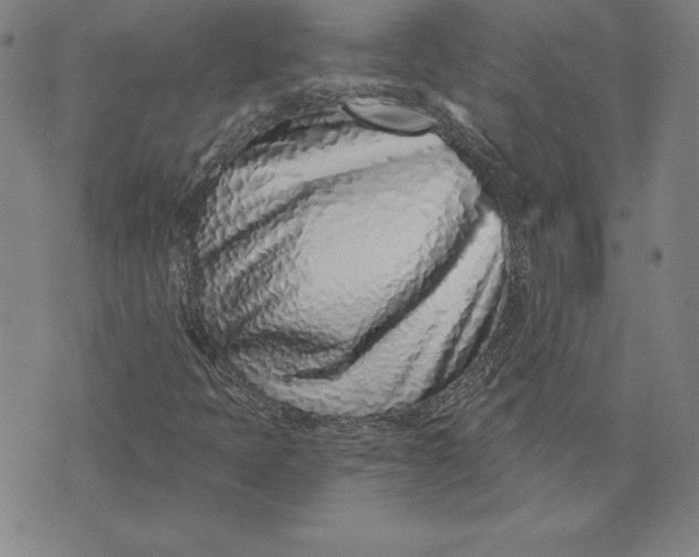 X0000074021397200609111637