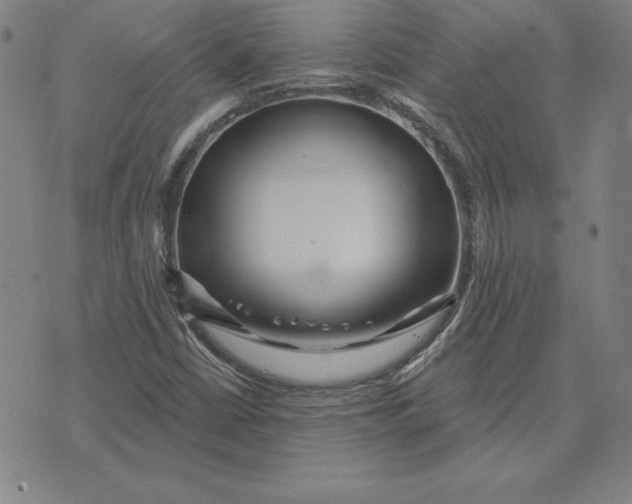 X0000074021402200609111637