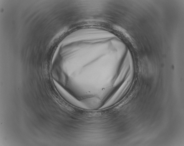 X0000074021403200609111637