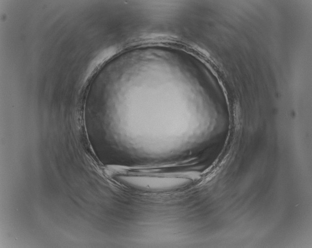 X0000074021405200609111637