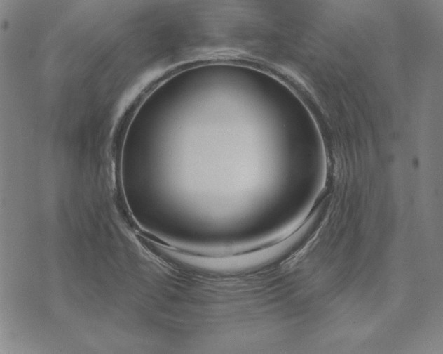 X0000074021414200609111637