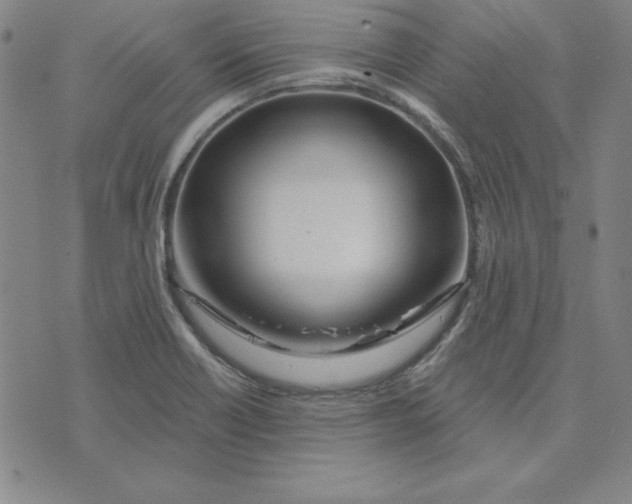 X0000074021418200609111637