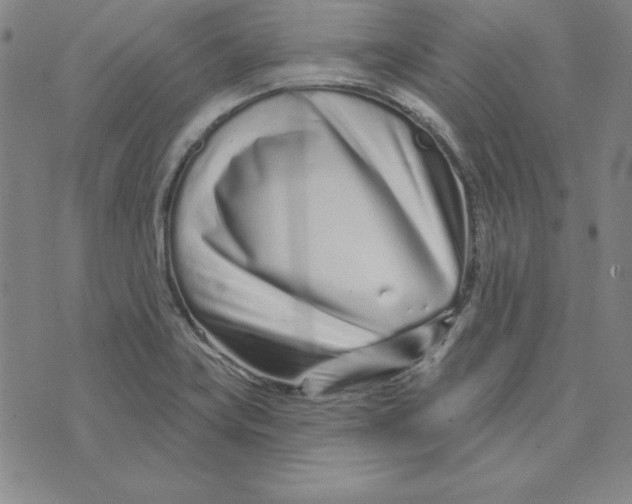 X0000074021419200609111637