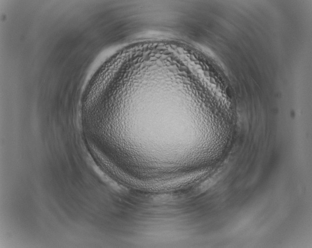X0000074021421200609111637