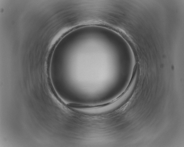 X0000074021422200609111637