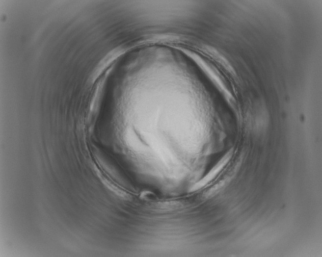 X0000074021425200609111637
