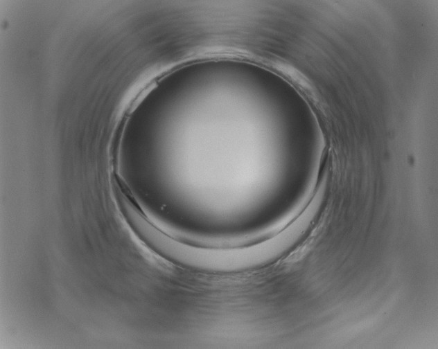 X0000074021430200609111637