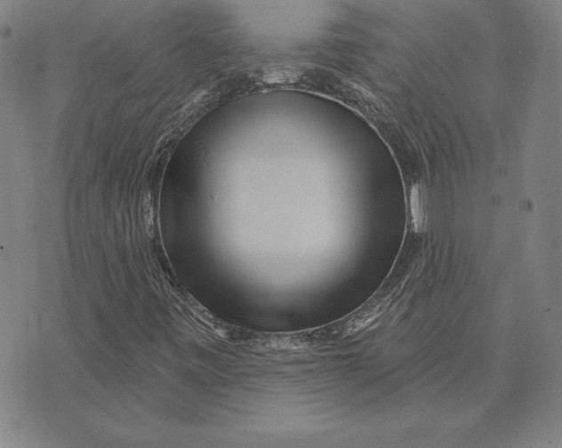 X0000074021443200609111637