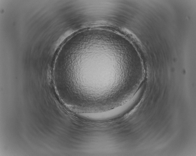 X0000074021457200609111637
