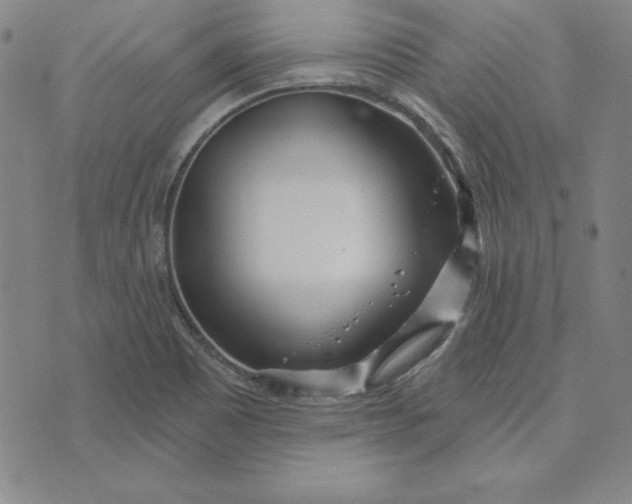 X0000074021465200609111636