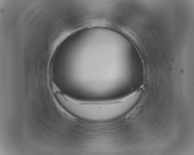 X0000074021471200609111636