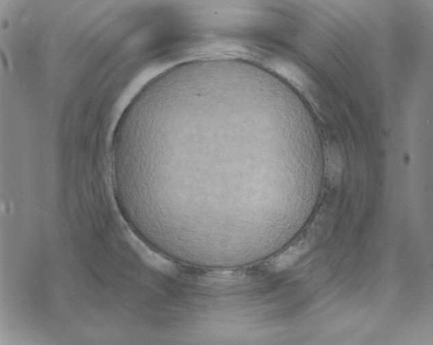X0000074021478200609111636