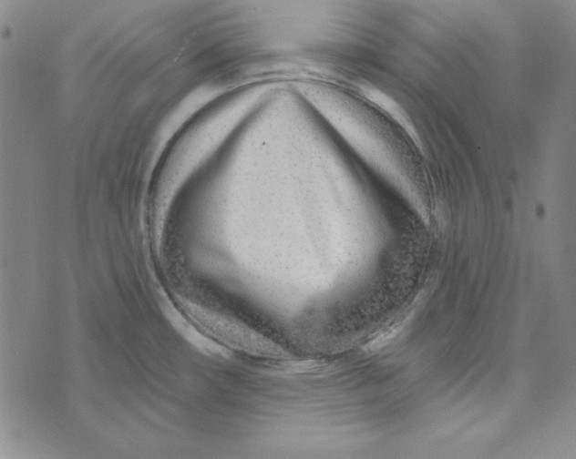 X0000074021482200609111636