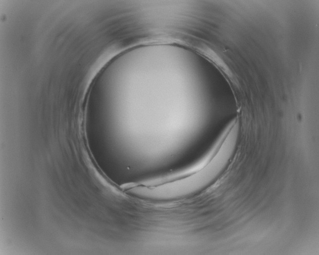 X0000074021484200609111636