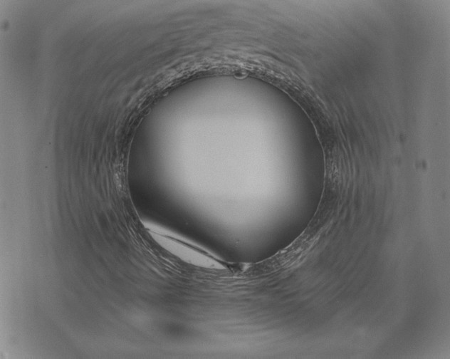 X0000074021490200609111635
