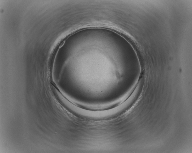 X0000074021506200609111635