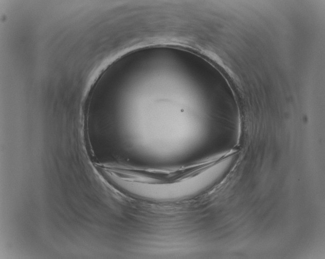 X0000074021508200609111636