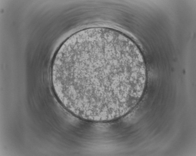 X0000074021514200609111636