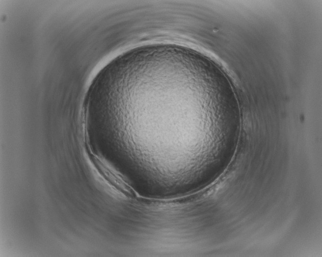 X0000074021522200609111636