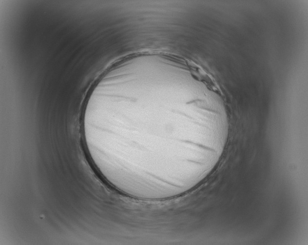 X0000074020002200609181913