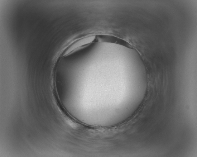 X0000074020005200609181913