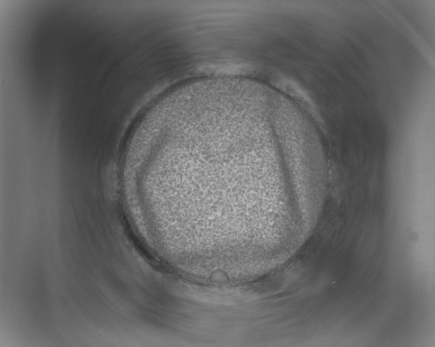 X0000074020012200609181912