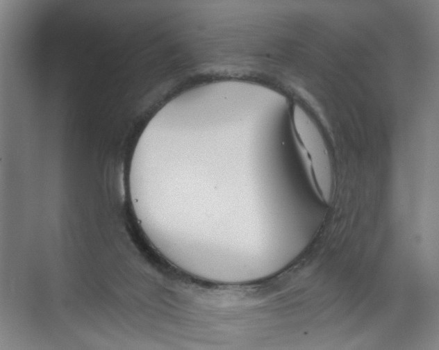 X0000074020020200609181912