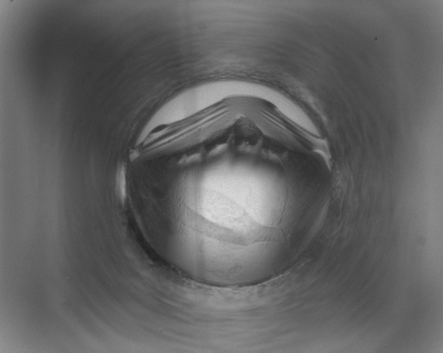 X0000074020027200609181912